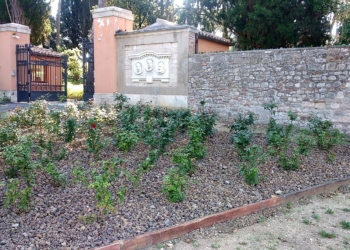 Nuovi spazi verdi alla Veralli-Cortesi di Todi. La presentazione degli interventi agli ospiti e ai familiari