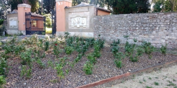 Veralli-Cortesi Todi, Mario Ciani eletto presidente