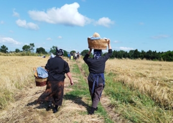 Laudato Sii Alfina: secondo weekend ancor più partecipato, all’insegna degli antichi mestieri