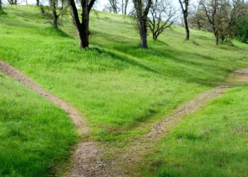 Costituito un coordinamento tra associazioni e comitati per la difesa della Tuscia