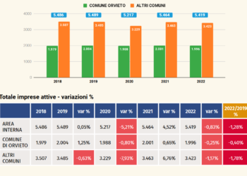 Redditi da impresa ad Orvieto fermi al 2017. Negli altri Comuni dell’Area + 4%