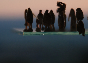 Si apre la mostra dell’artista tedesca Katharina Deml