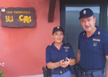 Salvato piccolo di rondone dalla Polizia di Stato, recuperato dalla pattuglia nei pressi del Duomo