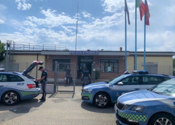 Cucciolo salvato dalla Polizia di Stato sull’A1. L’inverto della pattuglia della Polizia Stradale di Orvieto