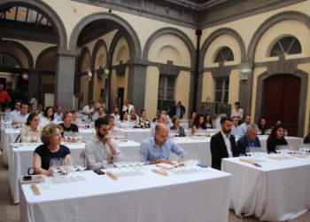 Orvieto e Chablis, due terroir in dialogo per esprimere i grandi vini