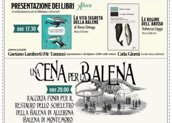 Una giornata dedicata alle Balene e al mare antico di Allerona