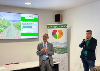 Stagione viticola appena chiusa e strategie di difesa dei vigneti da adottare per ottenere uve sane in cantina