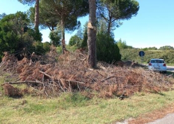 Criticità irrisolte al bivio di Castel Giorgio, gli Amici della Terra sollecitano l’Anas