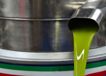 Si apre la 46esima edizione della Festa dell’Olio