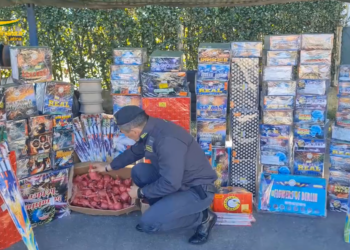 Gdf, sequestrate 40 tonnellate di fuochi d’artificio illegali