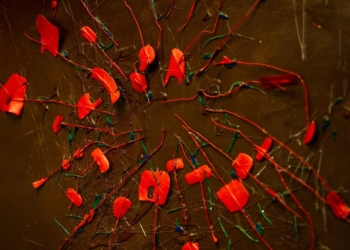 “Gioia e lacrime. Un Albero”, alla “Galleria Incontri” la mostra di Barbara Krakiewicz