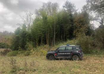 A caccia con richiamo acustico illegale: denunciati due bracconieri