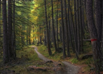 Liberalizzazione ai veicoli a motore alla viabilità minore, lettera “aperta” di 23 sindaci alla Regione