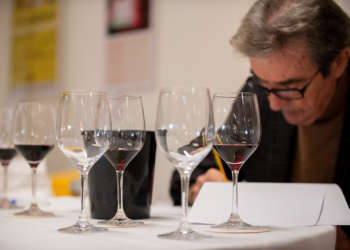 Sta per entrare nel vivo la terza edizione de “L’Umbria del vino”