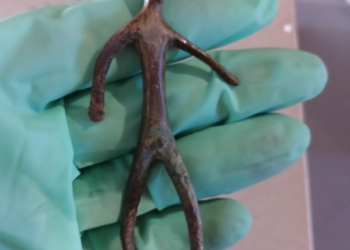 Riapre al pubblico l’Antiquarium della Necropoli etrusca del Crocifisso del Tufo