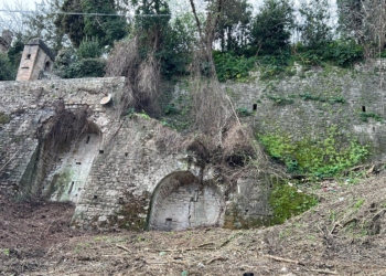 Todi, “riscoperte” le mure urbiche da salvare. Iniziata la bonifica delle aree interessate dai nuovi interventi di restauro