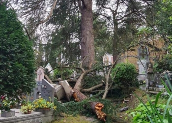 Incidente al cimitero monumentale di Orvieto: cede un ramo, tombe danneggiate