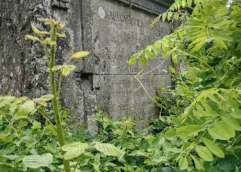 “Molto più bravi del cardinale Guerrieri Gonzaga”