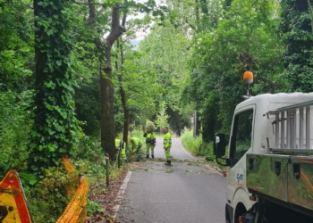 Maltempo: allagamenti e cadute piante, temporaneamente chiuso il cimitero di Orvieto
