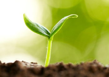 Il nostro contributo per dare un futuro a Porano e per evitare di proseguire col peggior oscurantismo. Votate “Uniti per Porano”