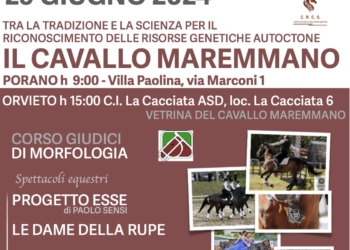 Al centro ippico La Cacciata, la seconda edizione della Giornata del Cavallo Maremmano