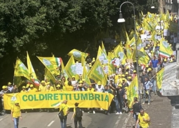 Cinghiali, dalla Regione arriva l’ok al Piano straordinario per la gestione e il contenimento