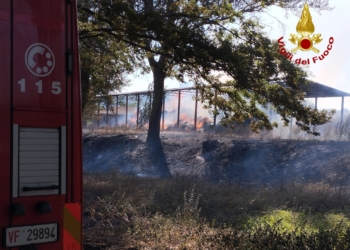 Vasto incendio minaccia abitazioni vicino Orvieto, vigili del fuoco in azione