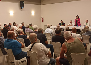 Peste suina, agricoltura e caccia: incontro alla sala Malerba