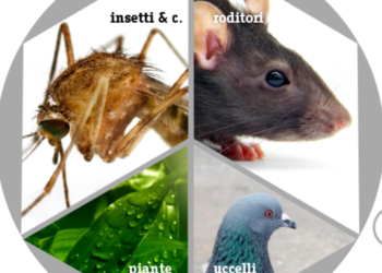 Adottato il piano regionale per la prevenzione, la sorveglianza e le strategie di intervento contro i virus trasmessi da zanzare, zecche e flebotomi