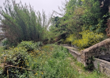 Dissesto idrogeologico Fontana del Leone: “Richieste inascoltate da parte del Comune di Orvieto e Regione Umbria”