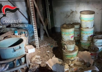 Deposito incontrollato di rifiuti pericolosi, blitz dei Carabinieri Forestali di Allerona