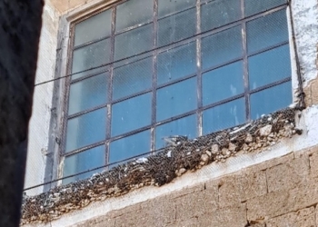 Lettera agli orvietani. “La grande bellezza: la Chiesa di San Francesco”