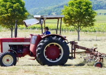   La Giunta Regionale dell’Umbria approva una maggiorazione dell’80% per il carburante agricolo ad accisa agevolata destinato all’irrigazione