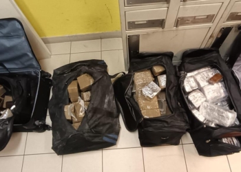 Maxi sequestro della Stradale, 270 kg di hashish nascosti tra gli ortaggi su un tir