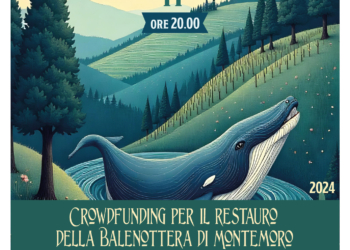 Allerona protagonista della Settimana delle Geoscienze
