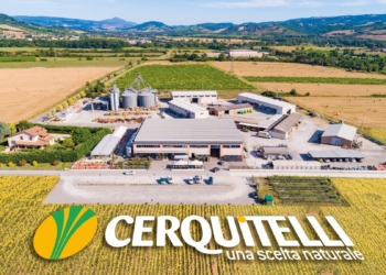 Risparmia e riscalda con efficienza: “Da Cerquitelli stufe Edilkamin e incentivi del conto termico fino al 65%”