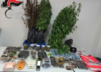 Deposito di droga in un casolare di campagna: arrestato un uomo e sequestrati oltre 14 chili di stupefacenti dai Carabinieri Forestali
