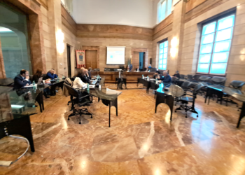 Consiglio povinciale: nominati i membri delle Commissioni consiliari. Convocato il consiglio