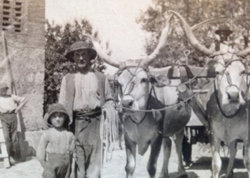 “Mezzadria. Storie di vita e foto d’epoca”, prorogata la mostra a Palazzo Coelli fino al 26 novembre