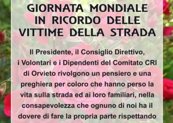 17 novembre 2024: Giornata Mondiale in ricordo delle vittime della strada