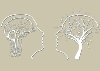 Alzheimer e le altre malattie connesse all’invecchiamento del cervello, servono risorse