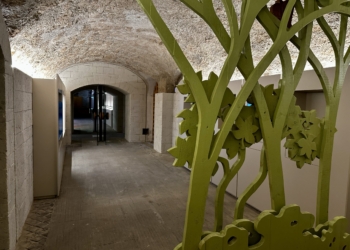 Presentato il nuovo Palazzo del Vino e dei prodotti della terra