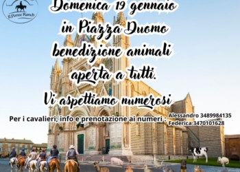 Animali in Piazza Duomo per la tradizionale Benedizione