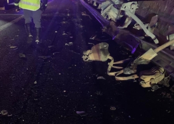 Autostrada, incidente mortale tra Fabro e Orvieto