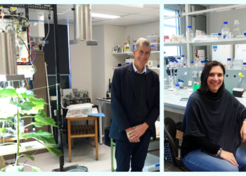 “Cambiamento globale e transizione ecologica – È ancora possibile garantire la sostenibilità ambientale e climatica?”