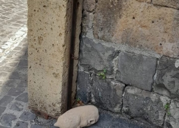 Ancora atti di teppismo nei sabati notte orvietani