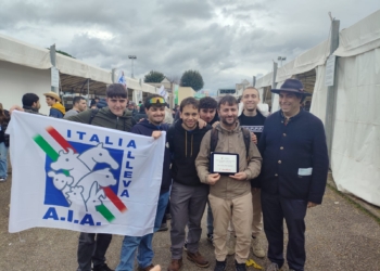 L’ Istituto professionale per l’Agricoltura e l’Ambiente di Fabro (IPAA) vince la Gara di Giudizio sui Bovini di Razza Chianina