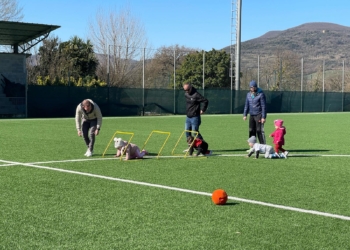 Festa del Papà tra gioco e movimento al Nido “Il  Grillo Parlante” di Allerona Scalo