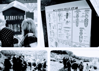 La Scuola Primaria viaggia tra lontane galassie, antichi conventi e operose api