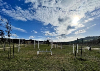 Todi, esteso servizio di pulizia di aree verdi e parchi pubblici
